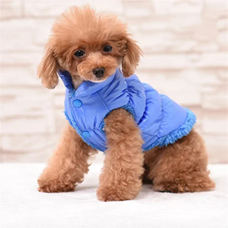 Winter-Ready Dog Coats: Stylish Pet Jackets for Small Breeds