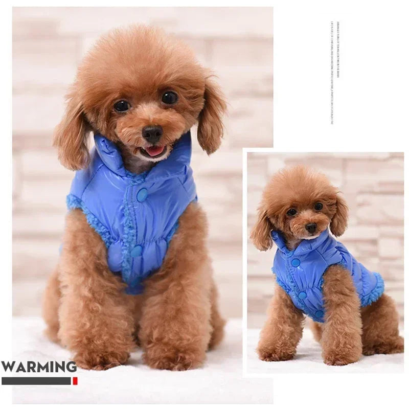 Winter-Ready Dog Coats: Stylish Pet Jackets for Small Breeds