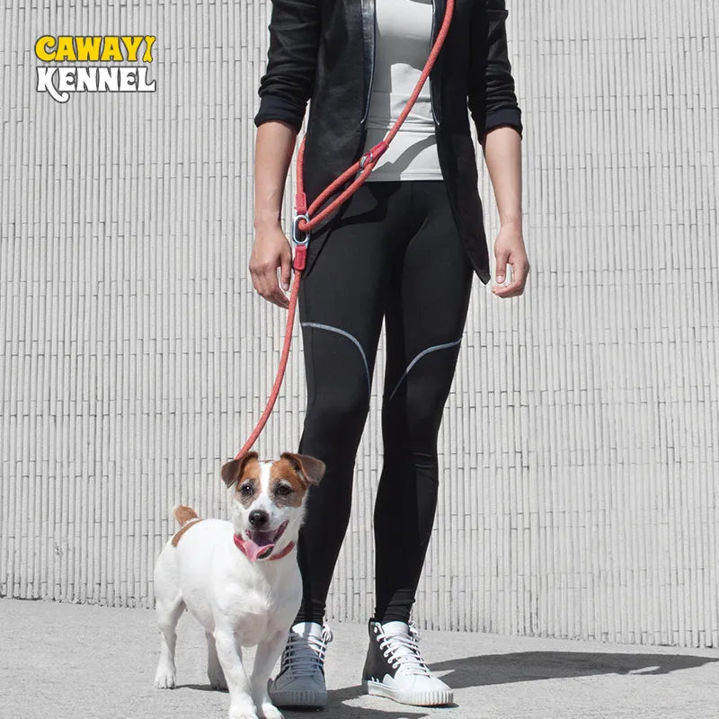 Reflective Dog Leash: Freedom, Safety, Comfort - CAWAYI KENNEL