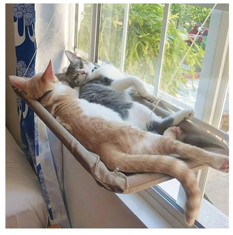 Cat Hammock: Comfy Window Seat for Climbing Kittens