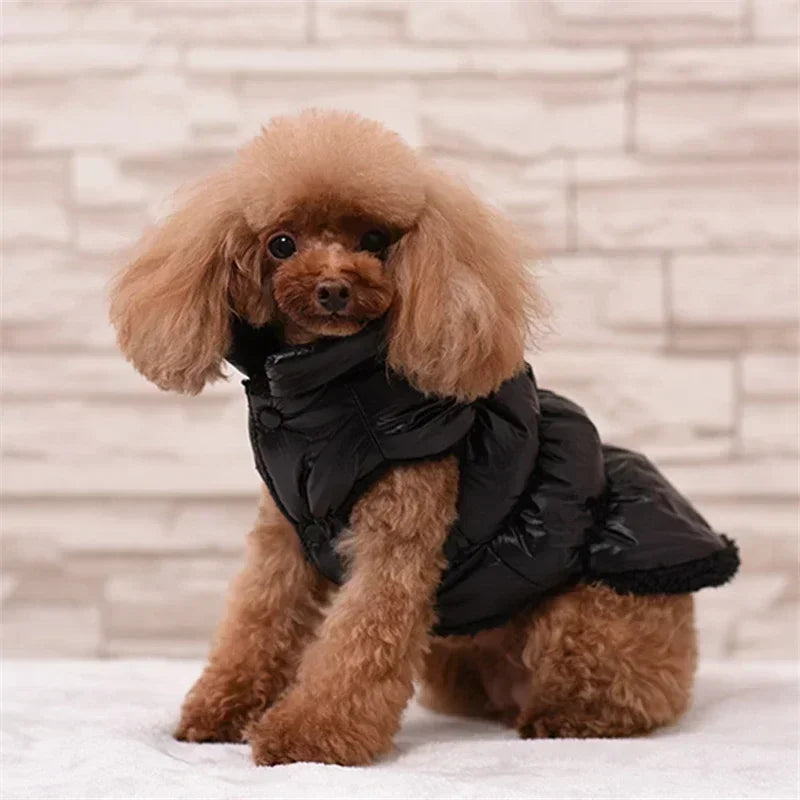 Winter-Ready Dog Coats: Stylish Pet Jackets for Small Breeds