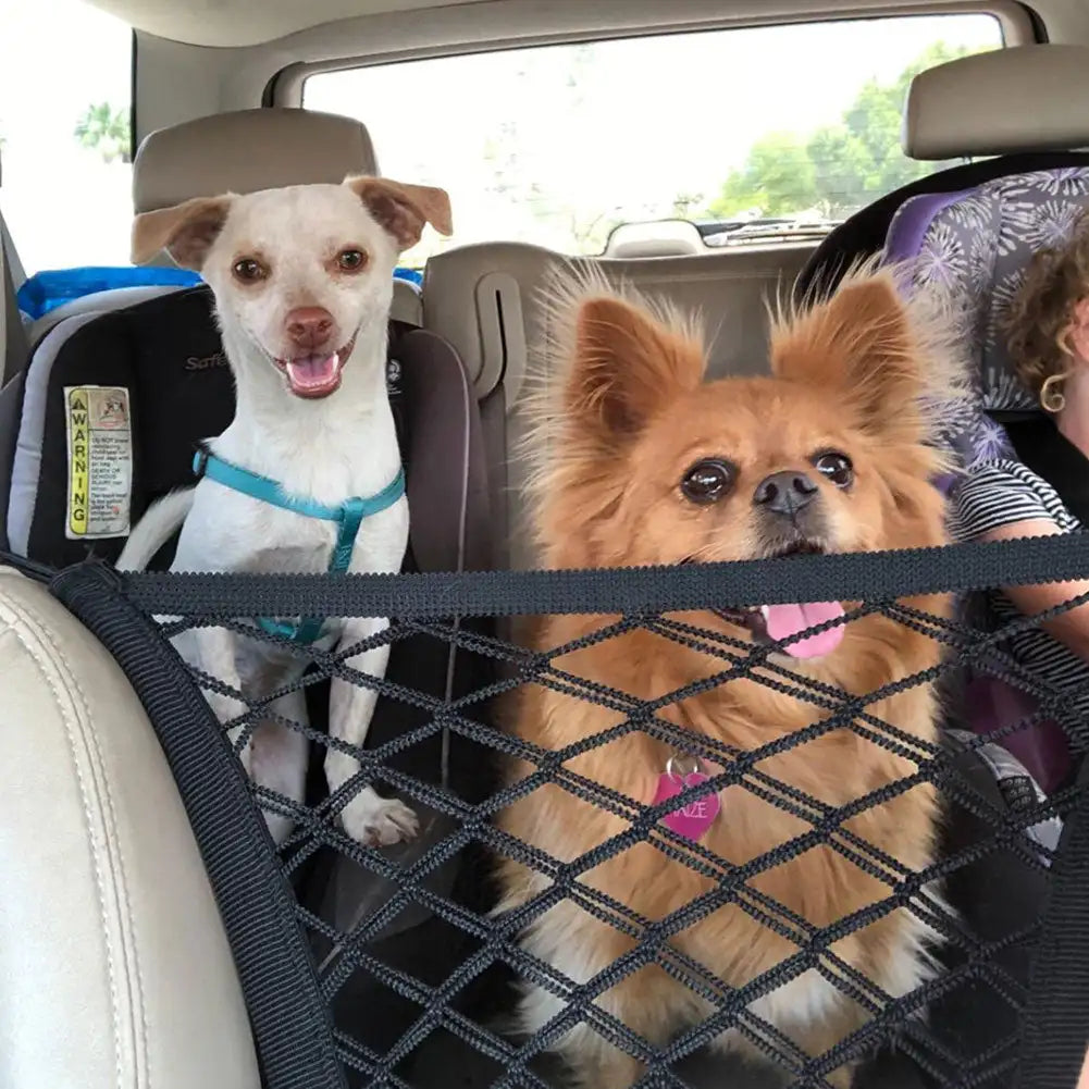 Durable Dog Harness: Safety Net for Travel and Walks