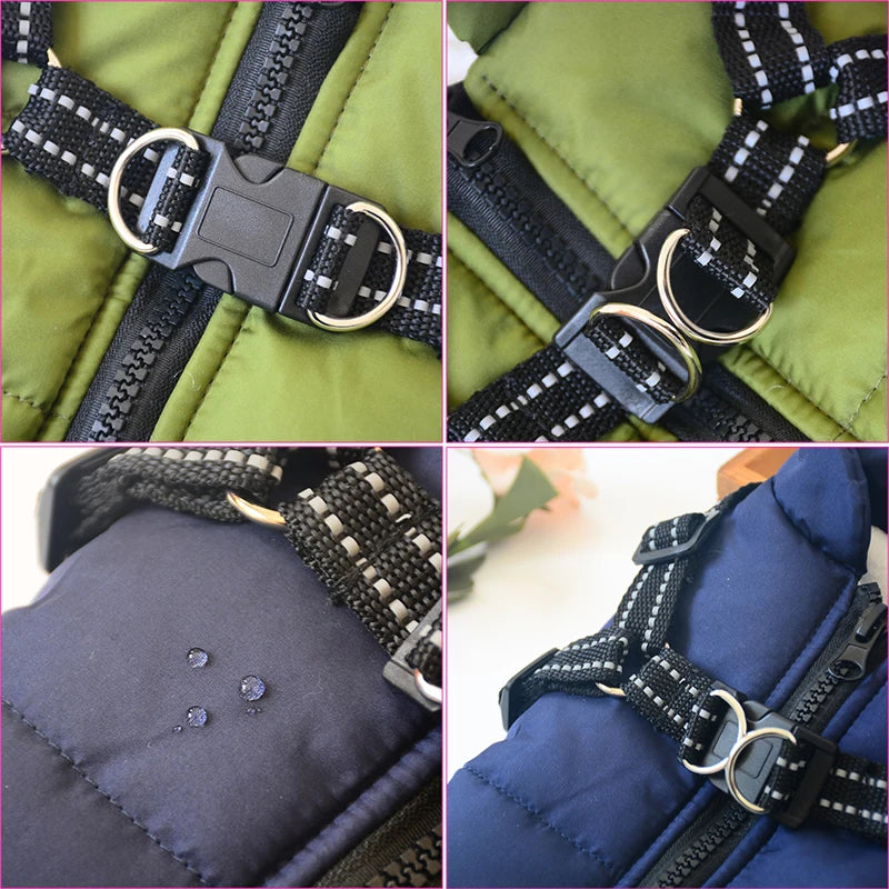 Winter-Ready Dog Jackets: Stylish, Warm Coats for Large Breeds