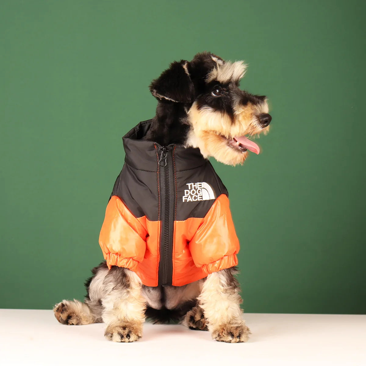 Winter Ready: Stylish Dog Coats for Warmth & Fashion