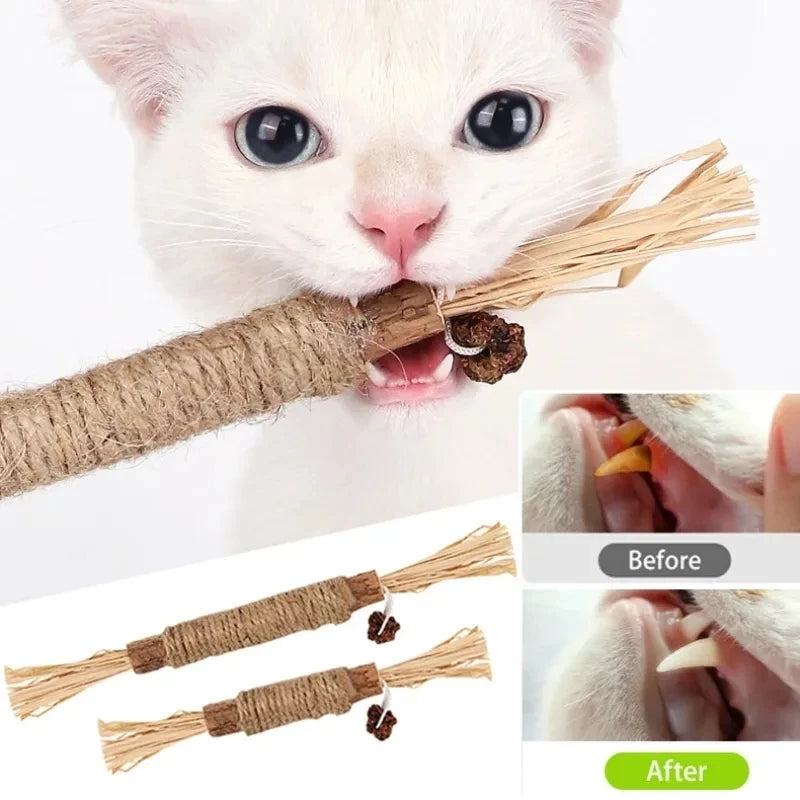 Purrfection Unleashed: Silvervine & Catnip Cat Biting Toys for Dental Bliss!