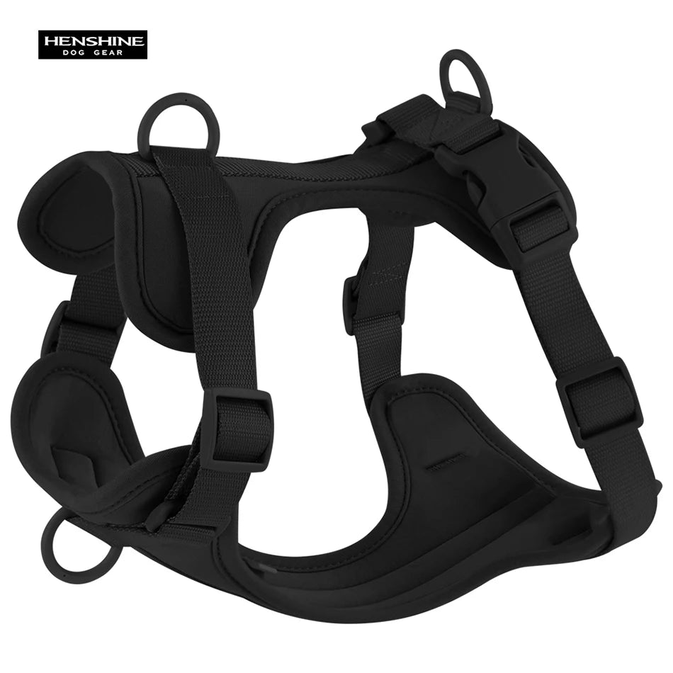 Dual Comfort Dog Harness Set - Adjustable, Breathable, and Stylish