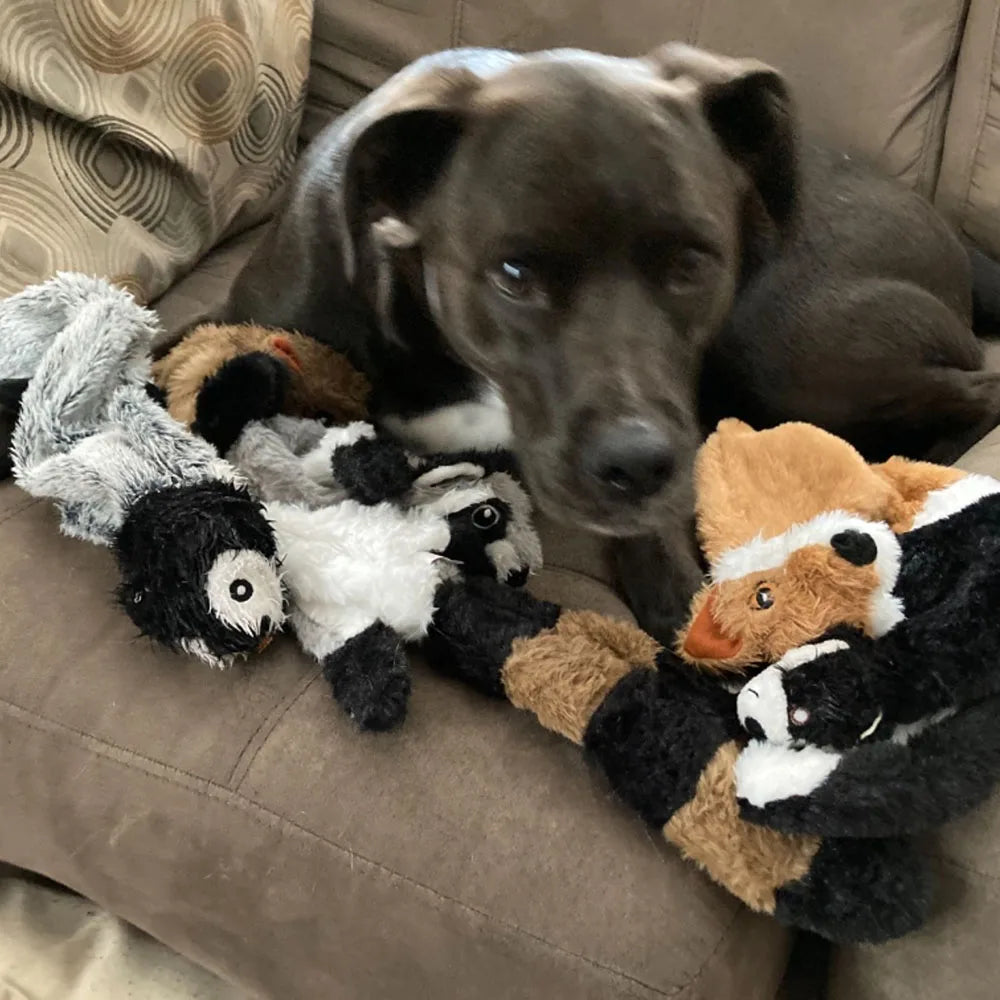 Squeak Dog Toy: Durable & Stuffingless Plush Chew Fun