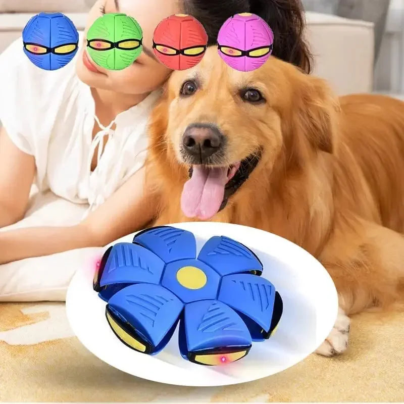 Interactive Dog Ball: Elevate Outdoor Fun with Flying UFO Toy