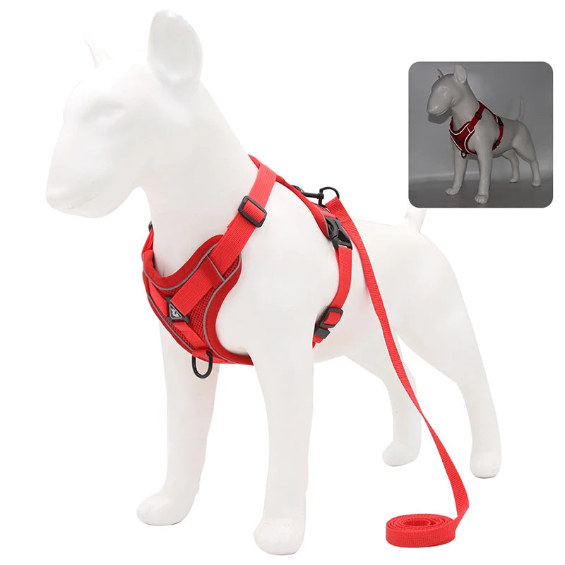 No-Pull Pet Harness Set | Small Dogs & Cats | Reflective Mesh Strap