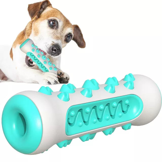 Safe Dog Chew Toys for Healthy Dental Care