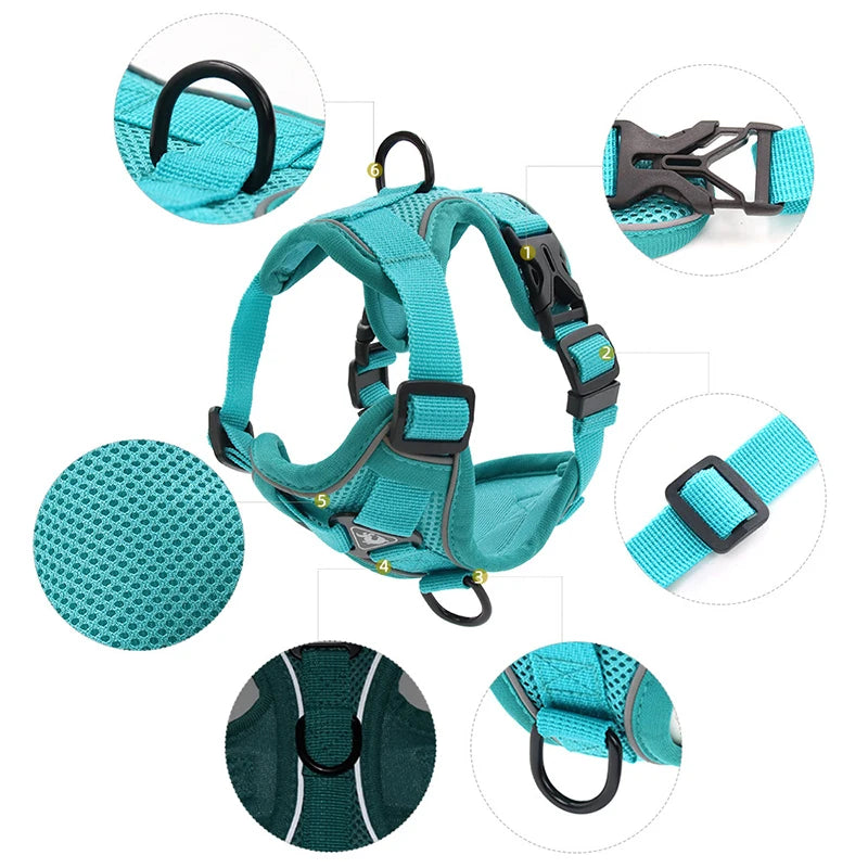 No-Pull Pet Harness Set | Small Dogs & Cats | Reflective Mesh Strap