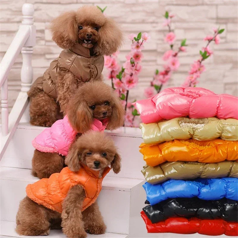 Winter-Ready Dog Coats: Stylish Pet Jackets for Small Breeds