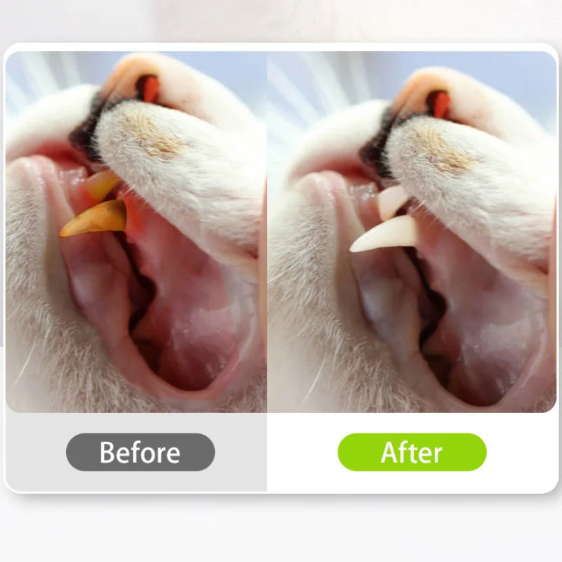 Purrfection Unleashed: Silvervine & Catnip Cat Biting Toys for Dental Bliss!