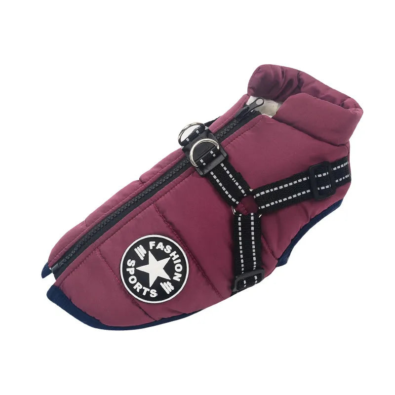 Winter-Ready Dog Jackets: Stylish, Warm Coats for Large Breeds