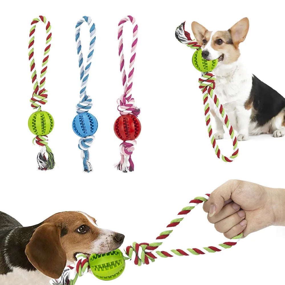 Ball and Rope Dog Toy: Interactive Chew Toy for Small Dogs
