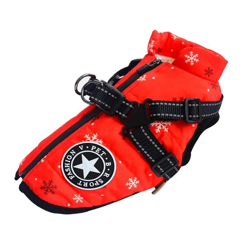Winter-Ready Dog Jackets: Stylish, Warm Coats for Large Breeds