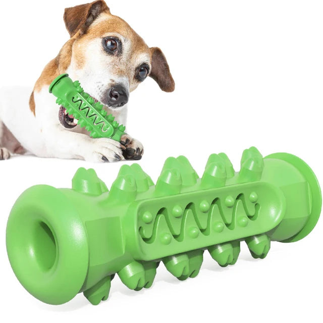 Safe Dog Chew Toys for Healthy Dental Care
