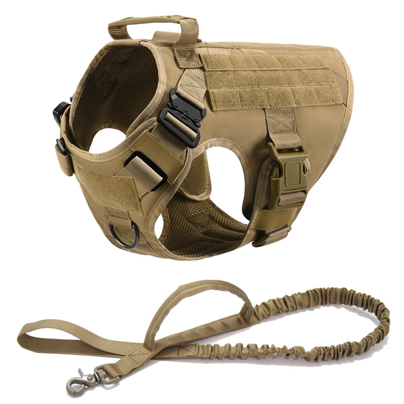 Top Dog Training Harness: Strength, Control, Durability
