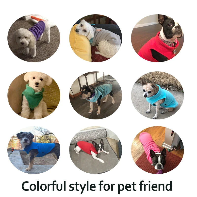 Warmth Unleashed: Winter Dog Vests for Cozy Adventures