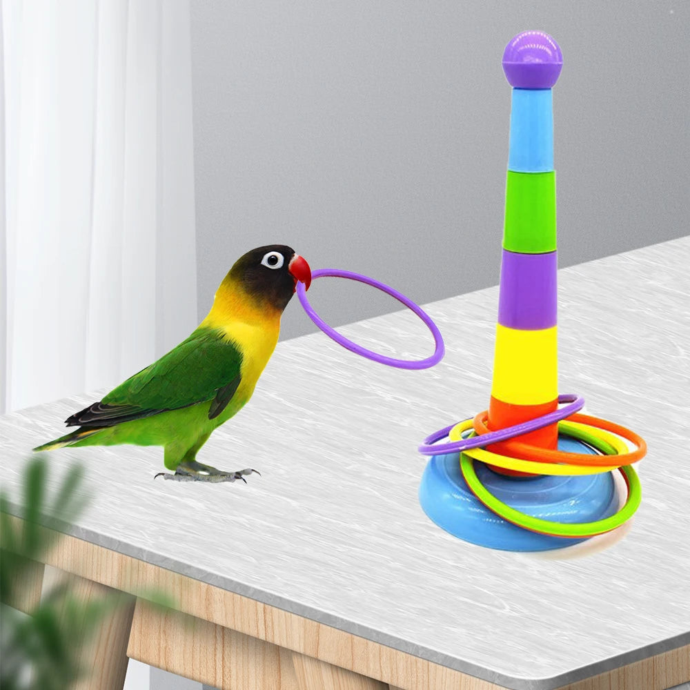 Vibrant Mini Iron Rings: Engaging Bird Toys for Smart Play