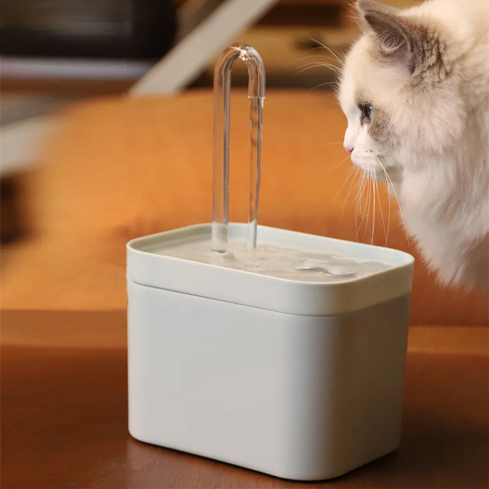Smart & Ultra-Quiet Kitty Water Fountain | Automatic Pet Dispenser