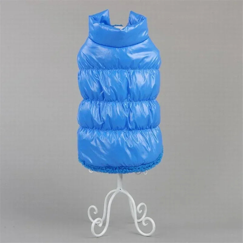 Winter-Ready Dog Coats: Stylish Pet Jackets for Small Breeds