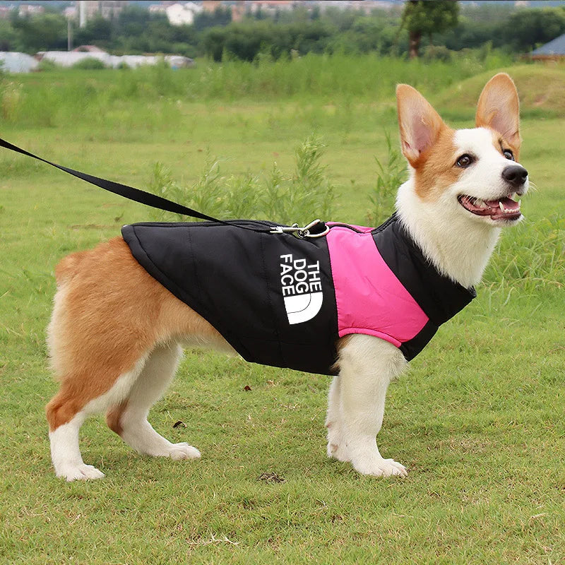 Waterproof Dog Jacket Padded Zipper for Small & Medium Dogs