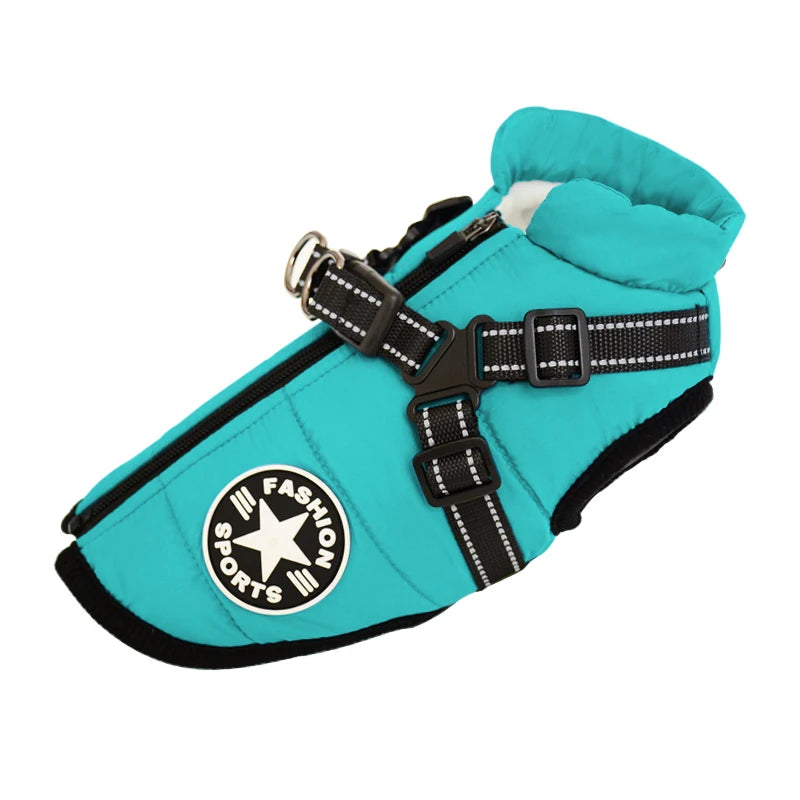 Winter-Ready Dog Jackets: Stylish, Warm Coats for Large Breeds