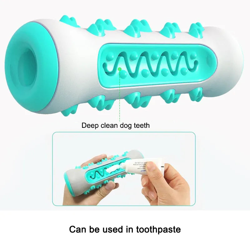Safe Dog Chew Toys for Healthy Dental Care