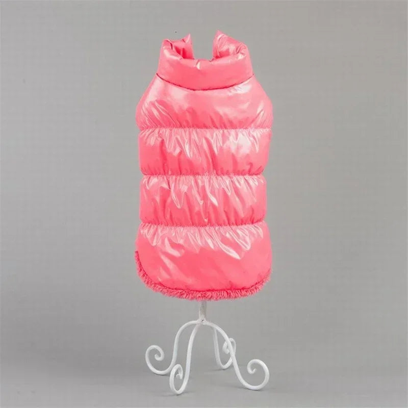 Winter-Ready Dog Coats: Stylish Pet Jackets for Small Breeds