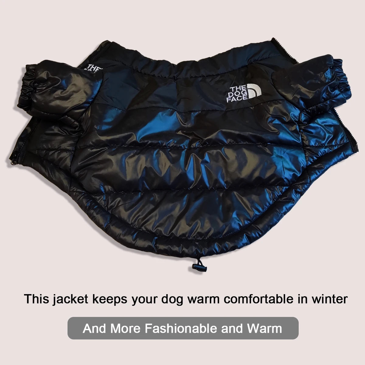 Winter Ready: Stylish Dog Coats for Warmth & Fashion