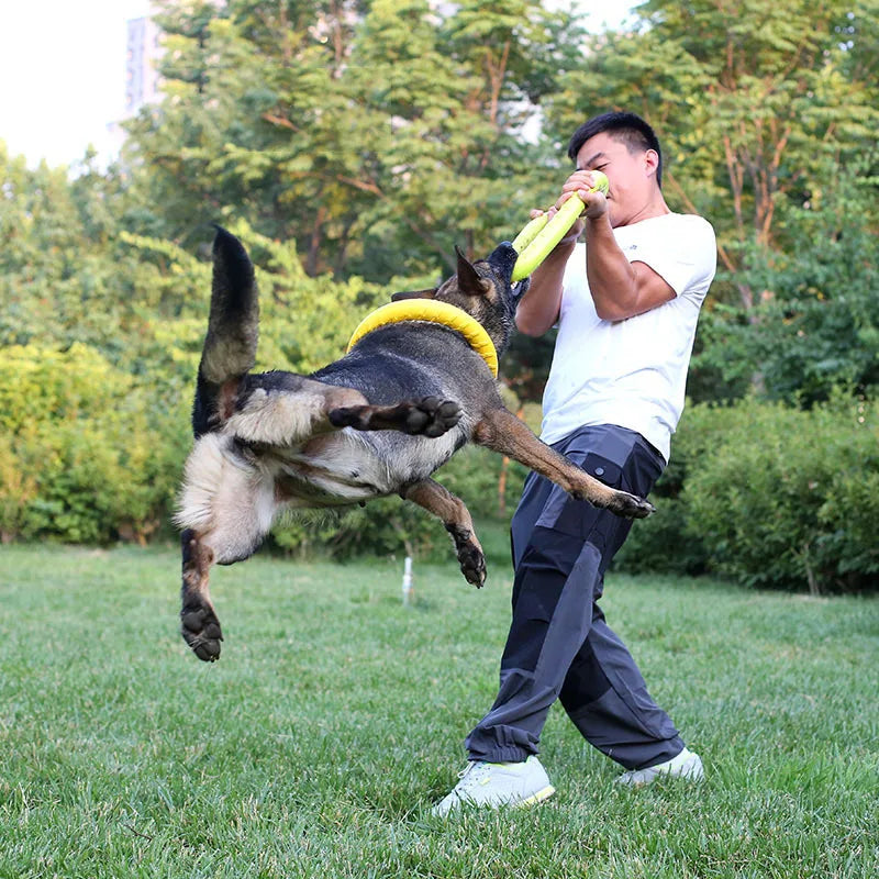 Ring Dog Toy: Interactive EVA Training for Floating Fun