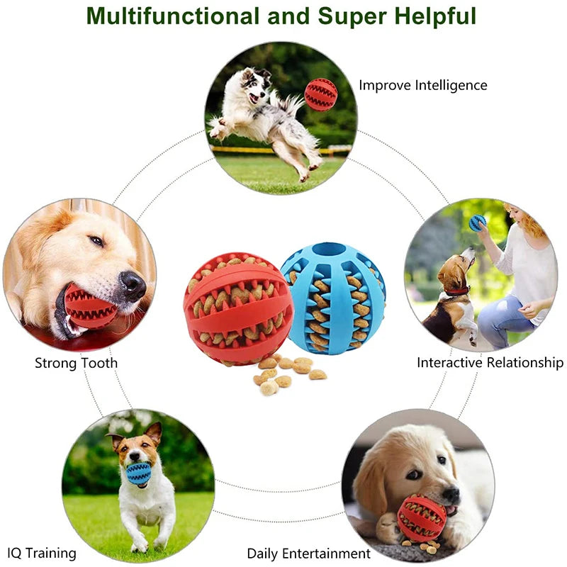 Interactive Dog Treat Ball: Chew Fun for Small Dogs
