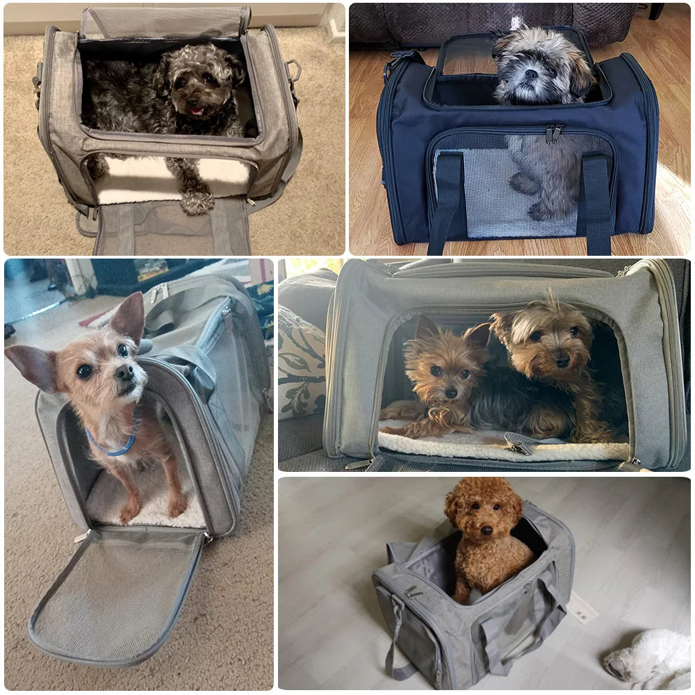 Versatile Dog Backpack for Small Pets – Stylish & Airline Approved