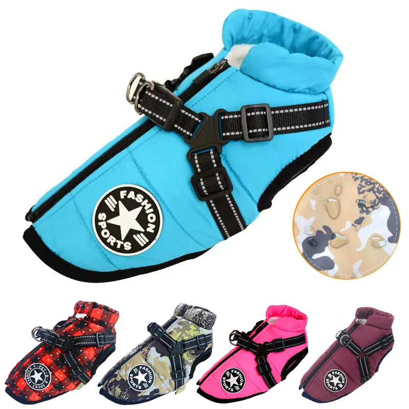 Winter-Ready Dog Jackets: Stylish, Warm Coats for Large Breeds