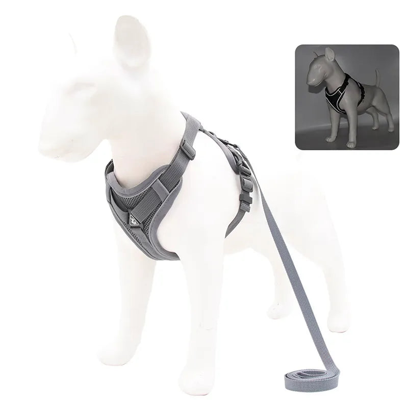 No-Pull Pet Harness Set | Small Dogs & Cats | Reflective Mesh Strap