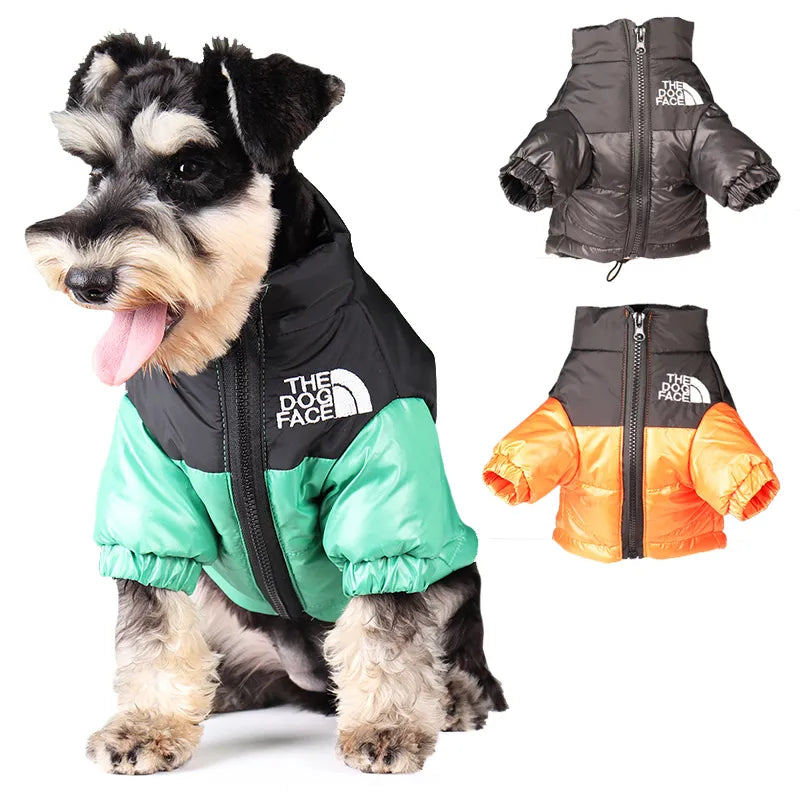 Winter Ready: Stylish Dog Coats for Warmth & Fashion