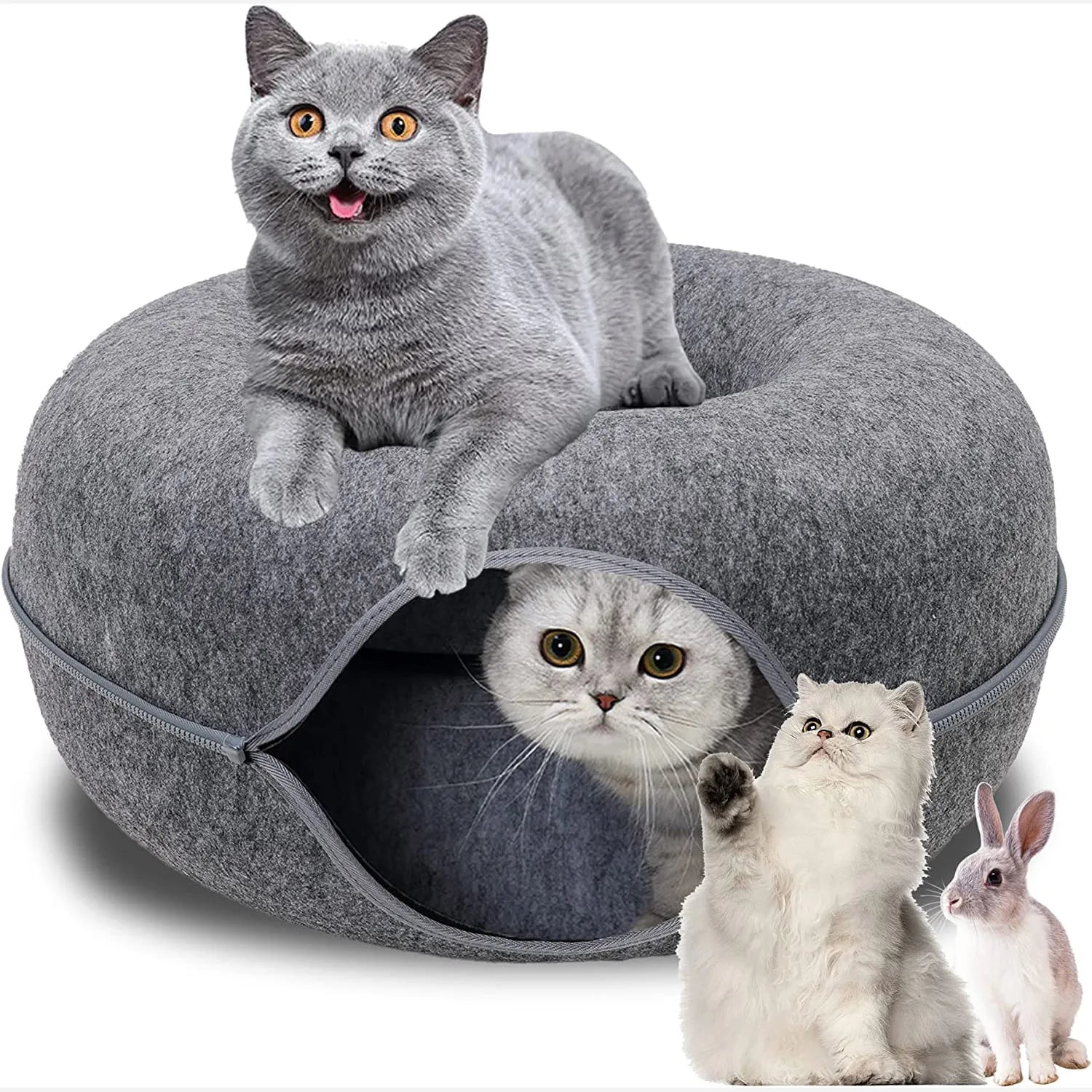 Donut Cat Bed & Play Tunnel – Interactive Pet Toy