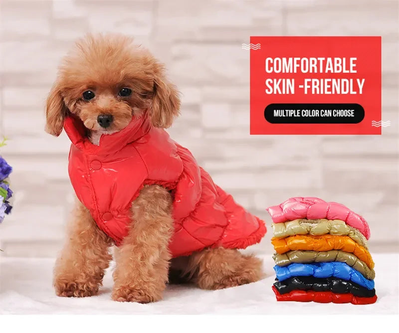 Winter-Ready Dog Coats: Stylish Pet Jackets for Small Breeds