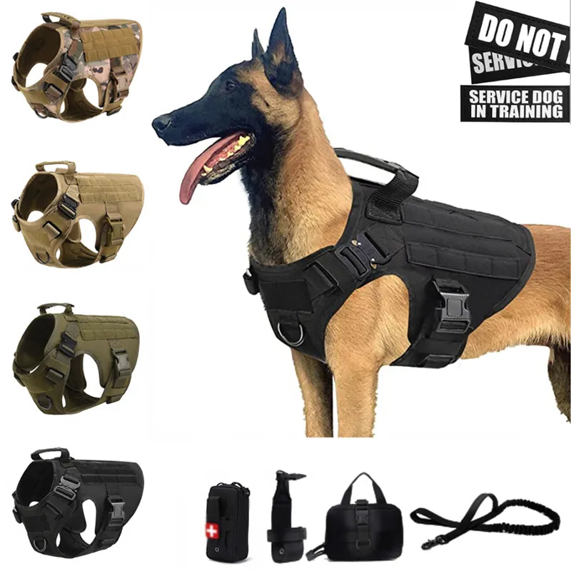 Top Dog Training Harness: Strength, Control, Durability