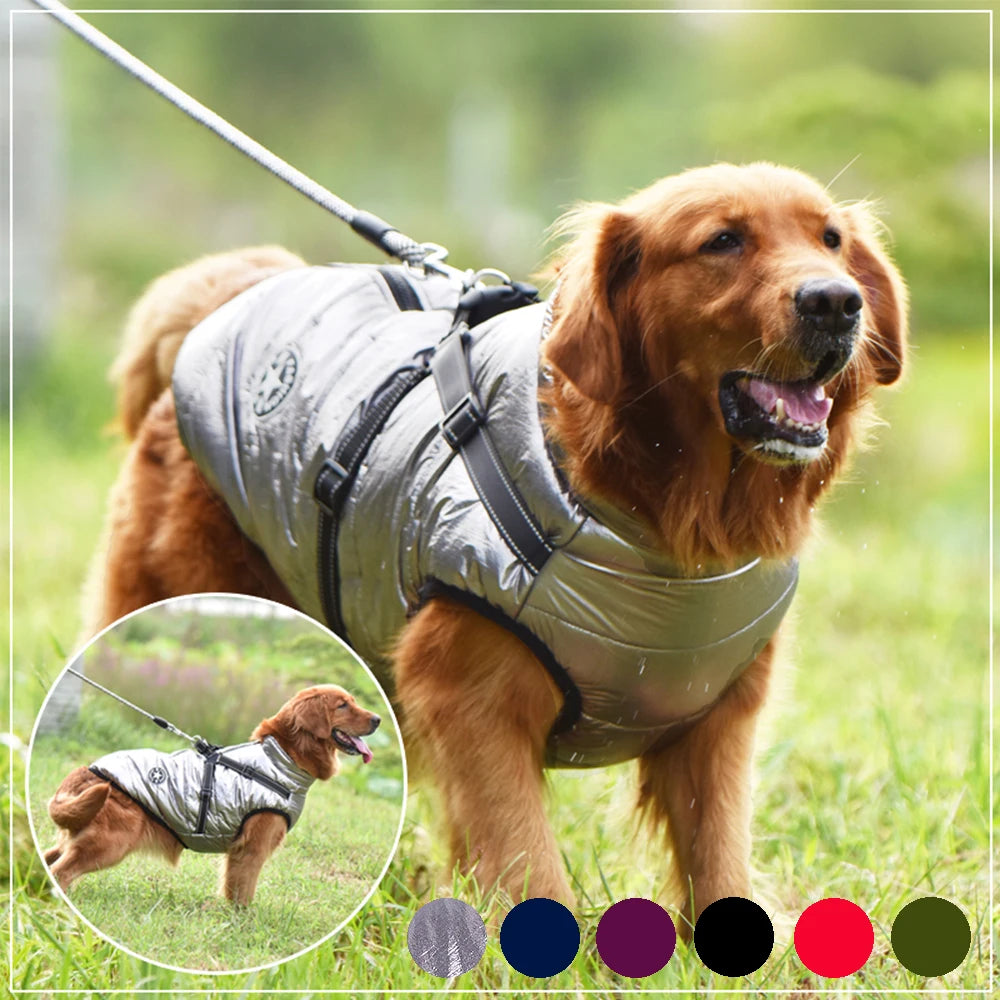 Winter-Ready Dog Jackets: Stylish, Warm Coats for Large Breeds