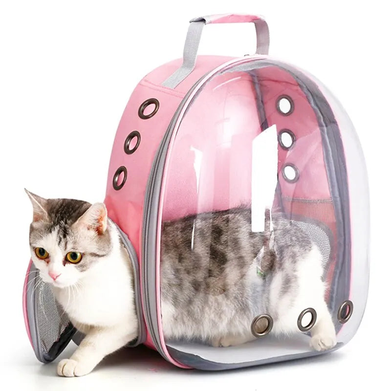 Stylish Cat Backpack: Transparent Capsule for Small Pets