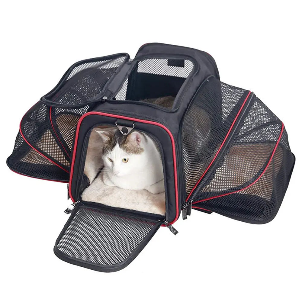 Explore with Ease: Portable and Breathable Dog&Cat Backpack